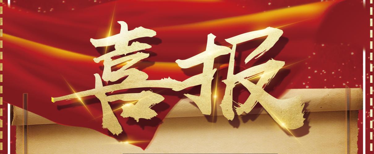 网站蜘蛛池怎么做的